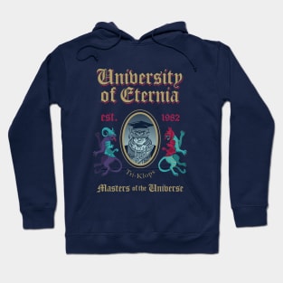 MSc in Universe Model 15 Hoodie